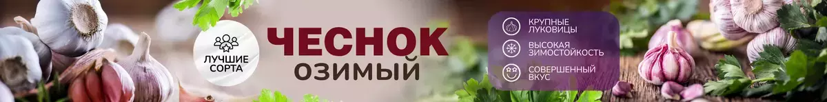 Главная банер в шапке Чеснок до 29.07