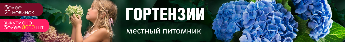 Главная банер в шапке 1270*60 гортензии до 12.х5