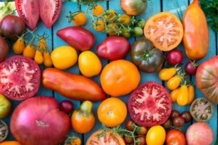 Семена коллекционные, частный питомник, доставка бесплатно!